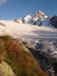 aiguille chardonnet aiguille chardonnet