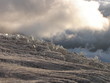 glacier du Tour glacier du Tour