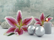Foto: Therapie - Feinmotorik Therapie - Feinmotorik