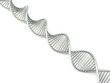 DNA Strang