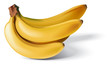 illustration of bananas