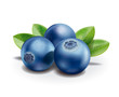 Blueberry