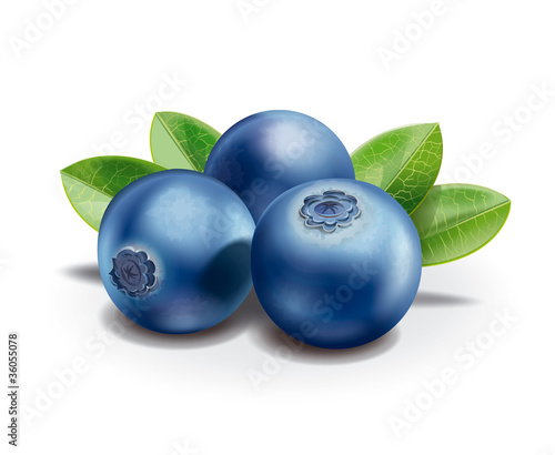 Illustration: Blueberry Blueberry