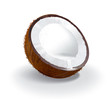 Illustration: Coconut and coconut`s milk Coconut and coconut`s milk