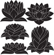 Lotus Set 3