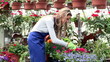 Gardening. Young smiling florist woman working at garden.