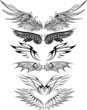 Wing Set