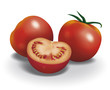 Illustration: tomatoes tomatoes