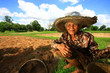 thai farmer