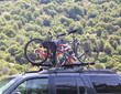Three bicycles on the top of car near forest