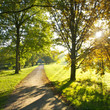 Photo: Sonniger Herbsttag Sonniger Herbsttag