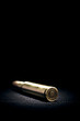 Balle de fusil