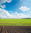 black and green field under cloudy sky black and green field under cloudy sky