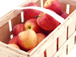 fresh apples in a basket