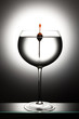 Glass with float