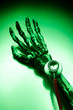 Skeleton hand,stethoscope