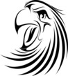 Eagle Face 11