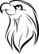Eagle Face 10