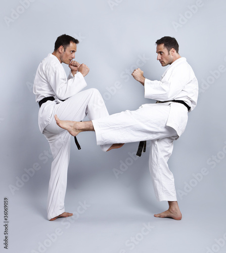 Karate Vs Taekwondo