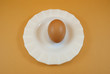 white plate with brown egg
