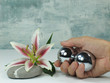 Therapie, Handmassage