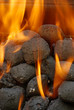 charcoal barbecue briquettes charcoal barbecue briquettes