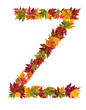 The letter Z made from autumn maple tree leaves.