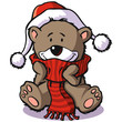 Winterbär