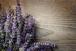 Fresh lavender