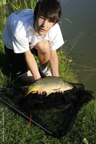 Foto: schuppenkarpfen schuppenkarpfen