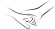 palliative care