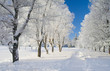 winter park winter park