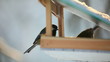 Birds eating seeds from the feeder.