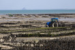 baie de cancale en bretagne baie de cancale en bretagne