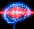 Brainwaves