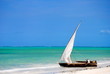 La spiaggia di Zanzibar La spiaggia di Zanzibar