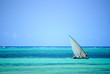 Il mare di Zanzibar