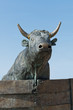 taureau de camargue
