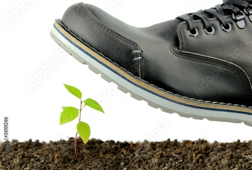 Photo: Nature and human Nature and human