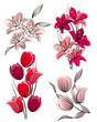 Set of stylized flowers: tulips and lilies Set of stylized flowers: tulips and lilies
