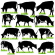 Detailed Cows Silhouettes Set Detailed Cows Silhouettes Set