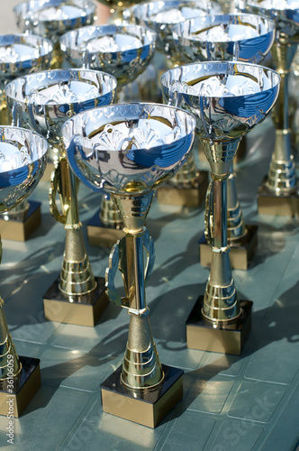 Photo: Championship cups Championship cups
