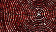 spiral back