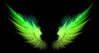 green and yellow sharp wings