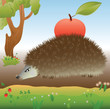 The hedgehog bears a red apple The hedgehog bears a red apple