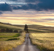 Rural Road Sunset Rural Road Sunset