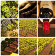 Collage vin rouge Collage vin rouge