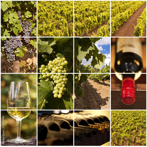 Photo: Collage vins rouges et blancs Collage vins rouges et blancs
