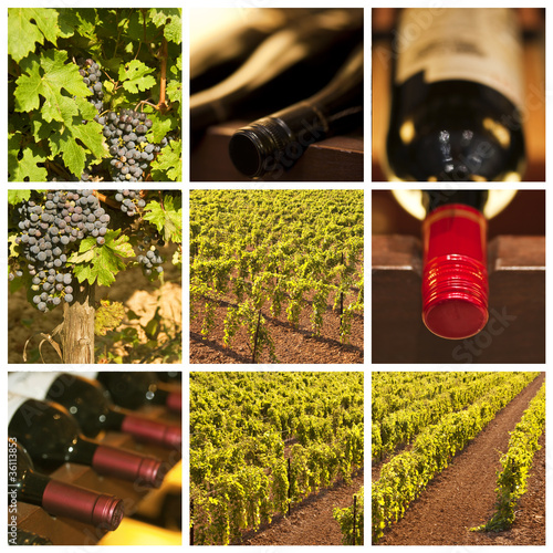 Foto: Collage vin rouge Collage vin rouge