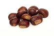 Castagne
